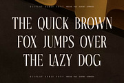 Mocnetla Display Serif Font, a Serif Font by Storytype Studio (Thumbnail 5 of 15)