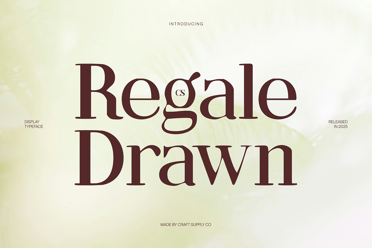 CS Regale Drawn, a Serif Font by Craft Supply Co. (Photo 1 of 8)