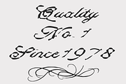 Blicker Feast | Dirty Script Font, a Script Font by Jolicia Type (Thumbnail 4 of 11)