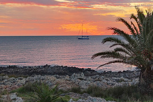 Birds walking along the shore, a Nature Photo by DanFLCreativo