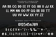 Western People, a Serif Font by FreshTypeINK (Thumbnail 5 of 8)