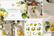 BUNDLE Watercolor Fruit and Flora, a Decorative Illustration by ThaismotaCreativeCo (Thumbnail 8 of 14)