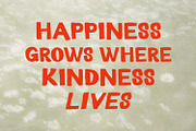 Sunvera Panected, a Sans Serif Font by Black Junst (Thumbnail 6 of 8)