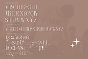 DIEGO Modern Serif Font Display, a Serif Font by Storytype Studio (Thumbnail 13 of 15)
