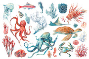 UNDERWATER watercolor collection, an Illustration by Eisfrei (Thumbnail 3 of 7)