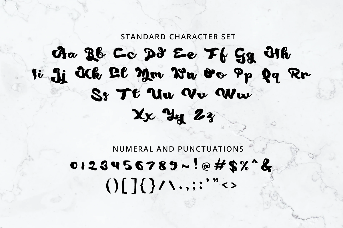 Metaly Modern Script Font, a Script Font by Haws.std (Photo 2 of 6)