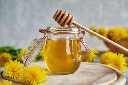 Dandelion honey - syrup made from fresh dandelion flowers, a Food & Drink Photo by Madeleine Steinbach