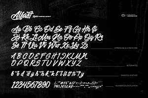 Alfast - Stylish Marker Script