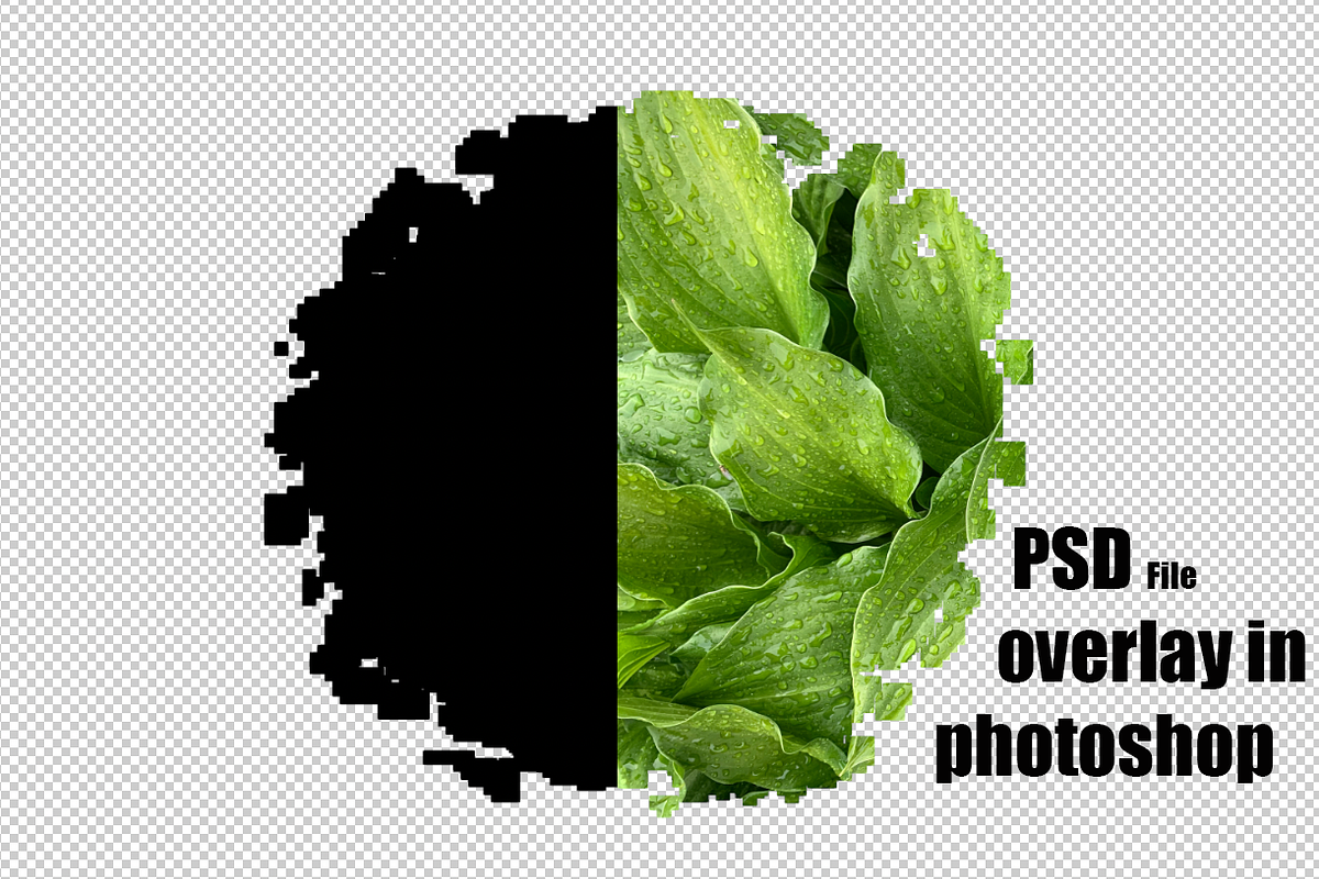 Bleach Effect Background Sublimation, a Brush Add-On by VetalStock (Photo 2 of 4)