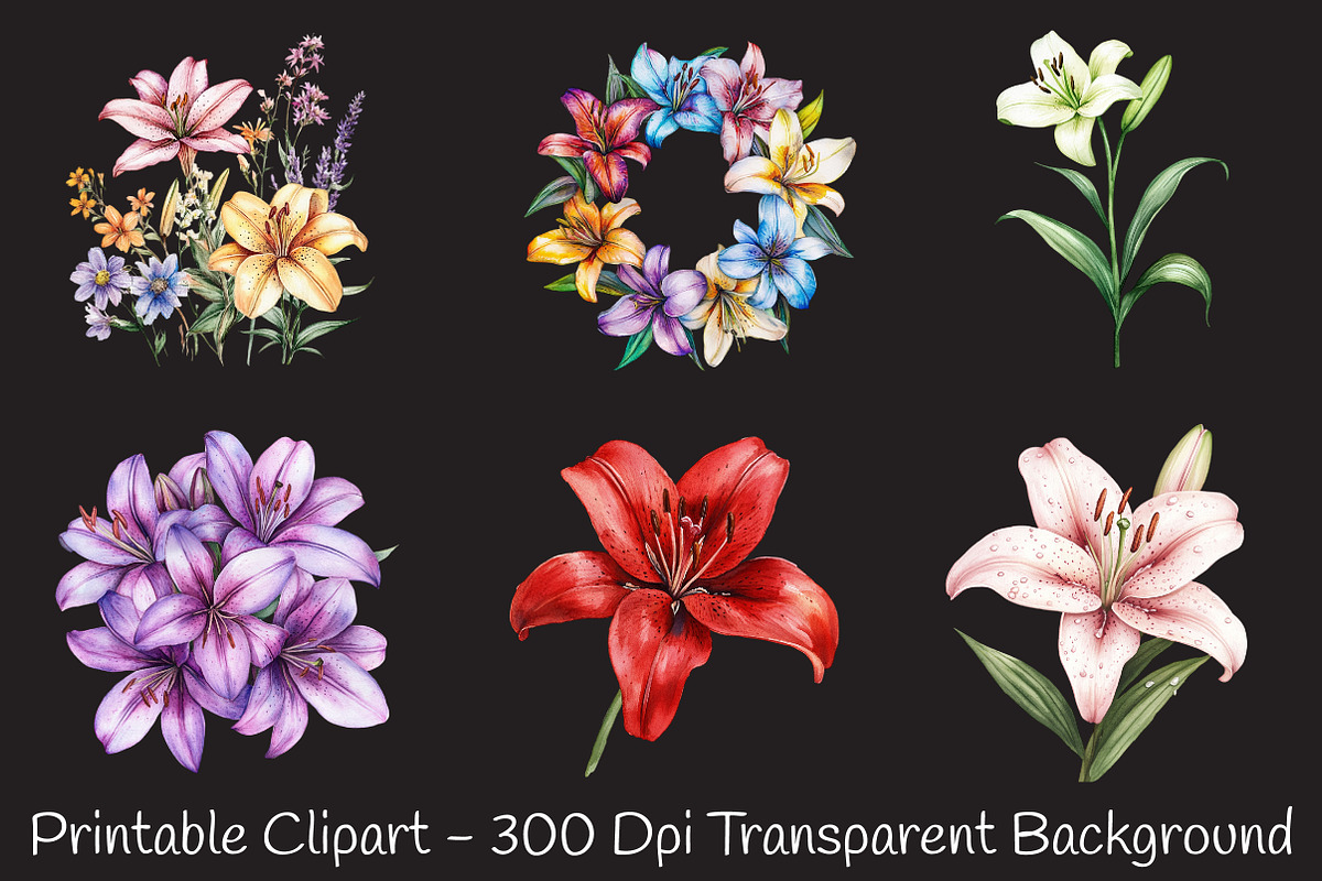 Lily Flower Watercolor Cliparts, an Illustration by RobertsArt (Photo 3 of 7)