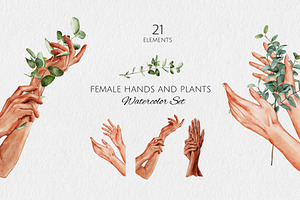 Female Hands and Plants Watercolor
