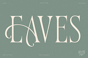 TAN - Variety, a Serif Font by TanType (Thumbnail 18 of 26)