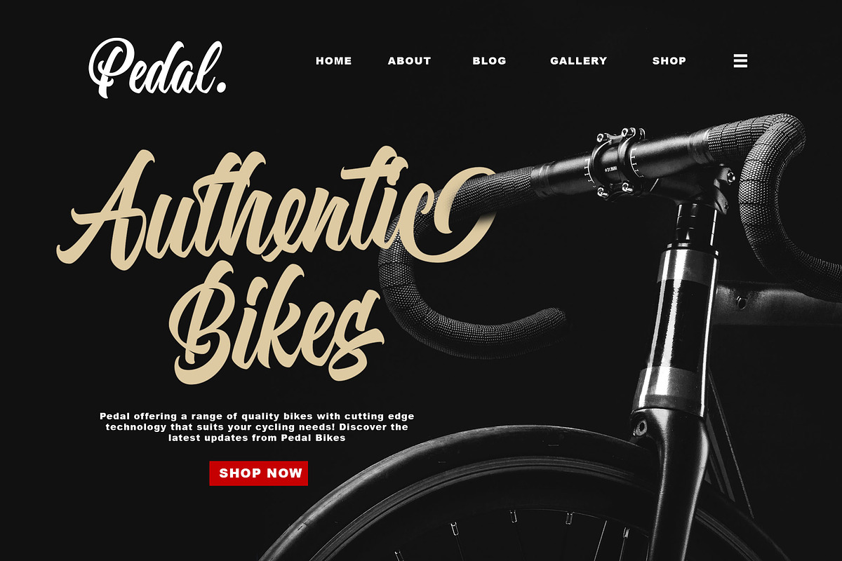 Orlande - Awesome for Branding, a Script Font by Blankids Studio (Photo 5 of 13)