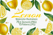 Lemon — Watercolor Illustration Set, a Food Illustration by Andre_Eva (Thumbnail 1 of 12)