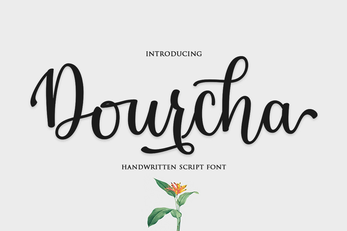 The Beautiful Font Bundle, a Script Font by Attract Studio (Photo 15 of 31)