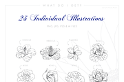 Line Floral Illustrations & Patterns, an Illustration by Riveros Illustration (Thumbnail 2 of 11)