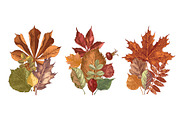 Fall in love - seasonal collection, an Object Illustration by handsketched (Thumbnail 10 of 10)