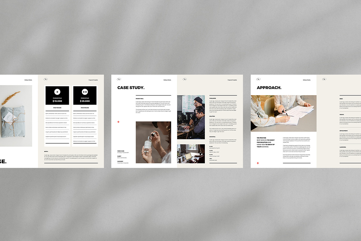 Proposal Template, a Brochure Template by Occy Design (Photo 4 of 6)