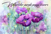 Watercolor purple poppy flowers, an Illustration by MaryAmi (Thumbnail 1 of 3)
