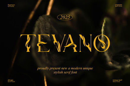 Tevano || Modern Unique Serif Font