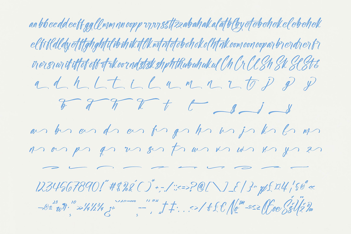 Shade Crush Bold Brush Font, a Script Font by stylishtype.co (Photo 19 of 20)