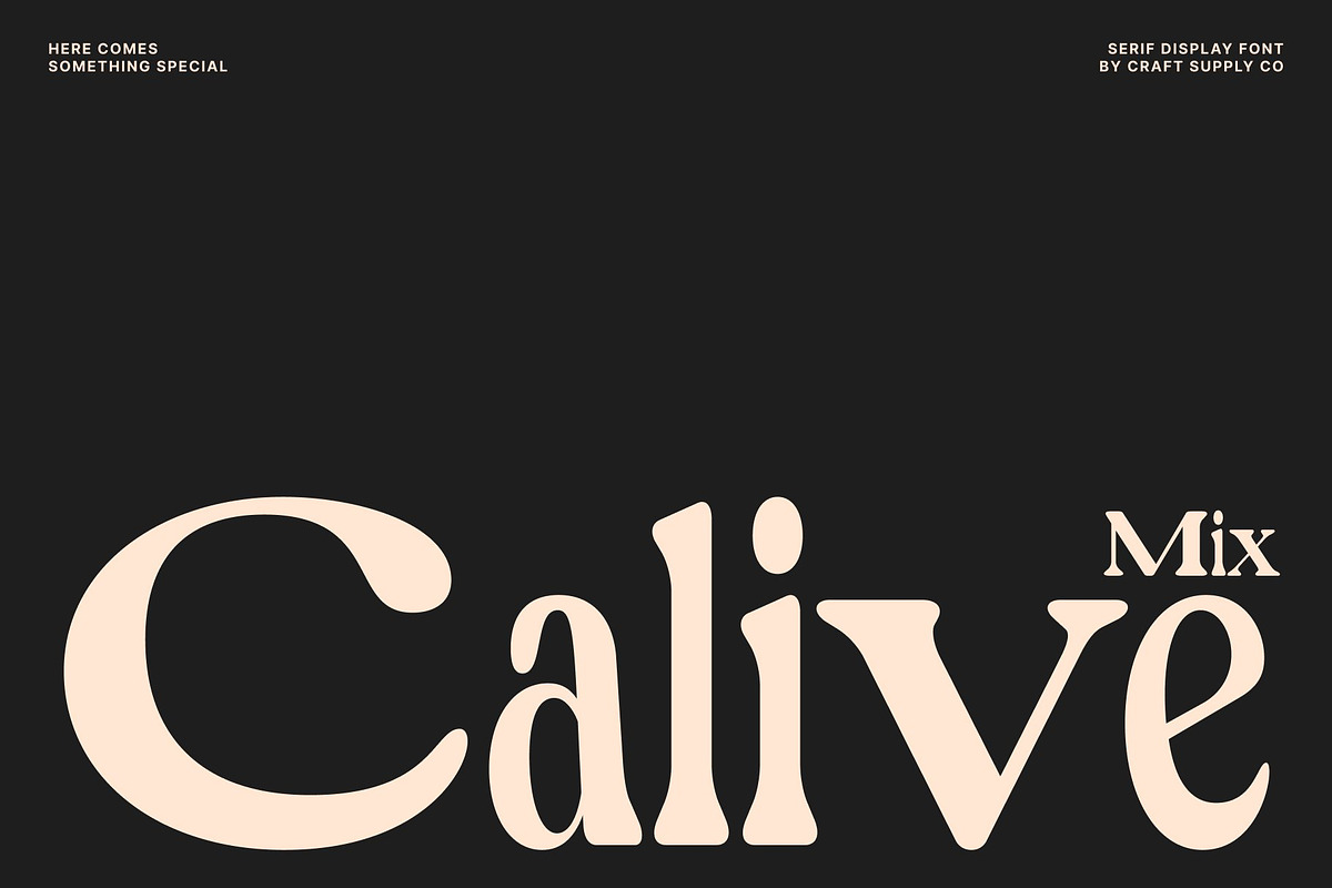 Calive Mix, a Sans Serif Font by Craft Supply Co. (Photo 1 of 8)