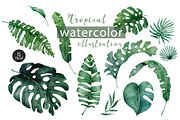 Tropical Wildlife Watercolor set, an Illustration by Ann Art Houze (Thumbnail 9 of 13)
