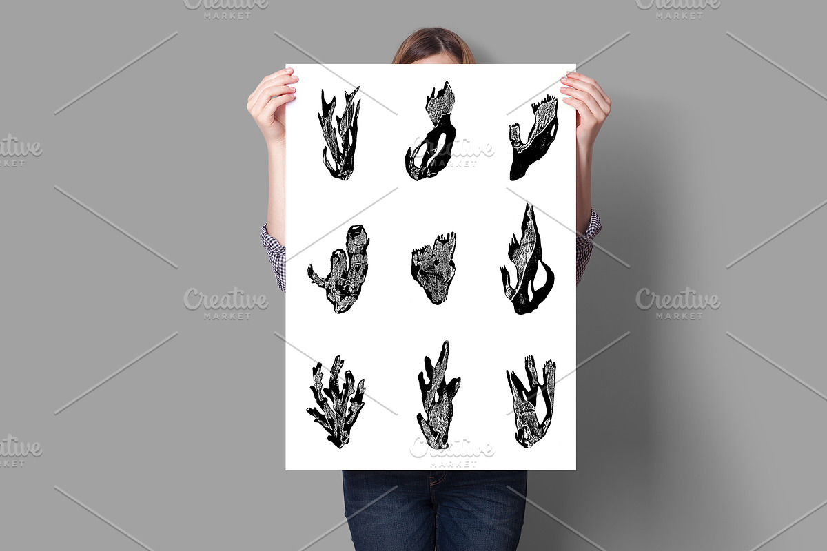 LINOCUT CORALS, an Object Graphic by Mii Lab (Photo 4 of 18)
