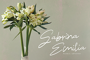 Trimeira Signature, a Handwritten Font by Eltypesstudio (Thumbnail 8 of 10)