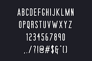 Steady Hands - Font Duo, a Script Font by The Forge Type Co (Thumbnail 8 of 10)