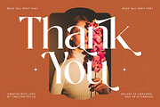 Achieve Fabrics Modern Serif, a Serif Font by timelesstype.co (Thumbnail 20 of 20)