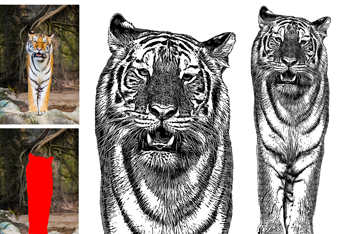 Vector Tracing Pro, an Action Add-On by MRI STUDIO (Photo 12 of 15)