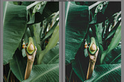 Bali Mood Lightroom Preset, a Layer Style Add-On by GeorgeKhelashvili (Thumbnail 5 of 9)