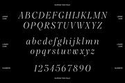Dupioni Thin - Ligature Serif, a Serif Font by Silktype (Thumbnail 19 of 20)