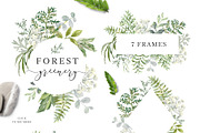 Forest greenery. Vector collection, an Object Illustration by OJardin (Thumbnail 2 of 7)
