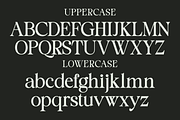 Staller - A Modern Beauty Font, a Serif Font by Marvadesign (Thumbnail 2 of 7)