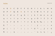 Recline, a Sans Serif Font by Digitype Studio (Thumbnail 10 of 10)