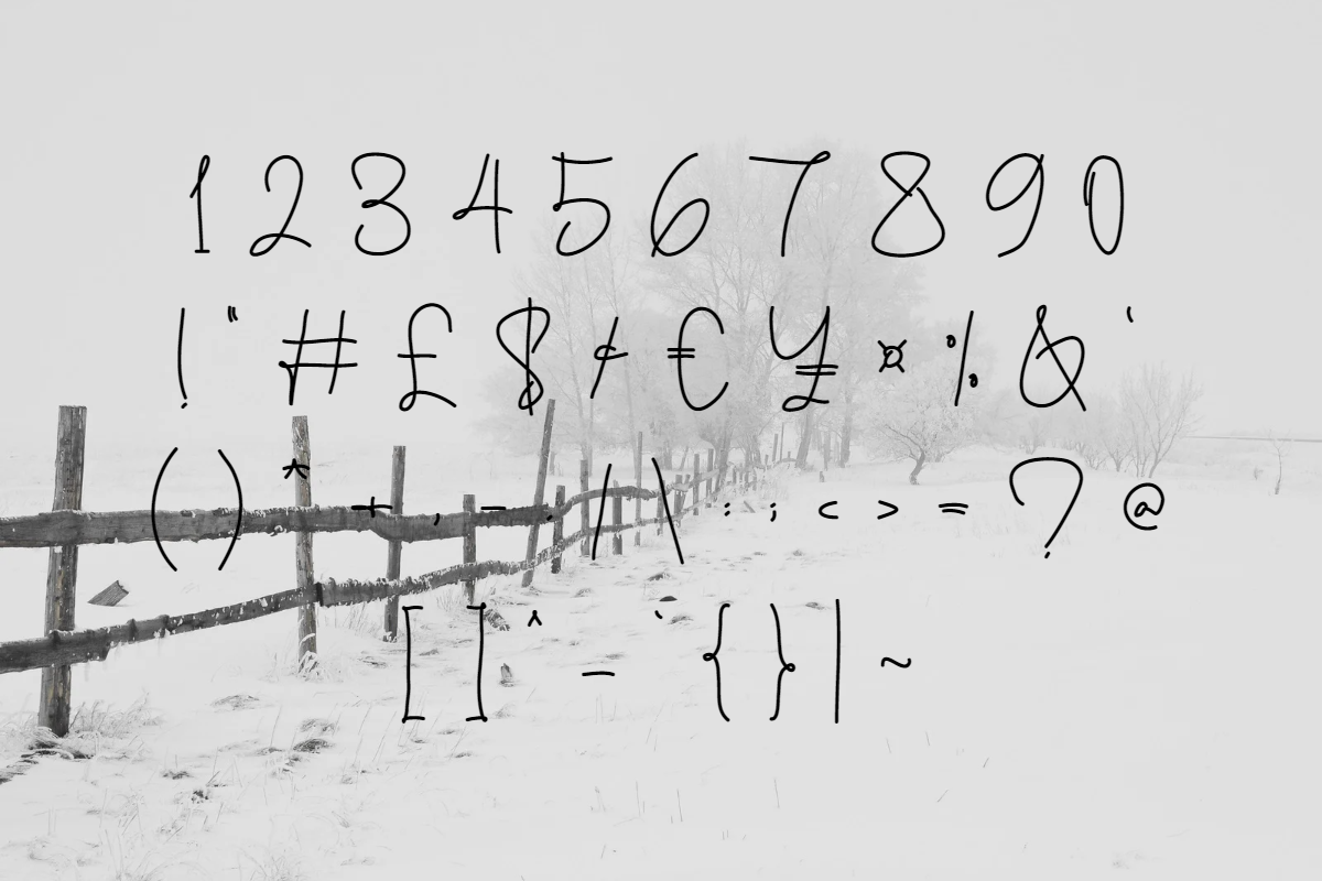 Sung-Jin font, a Script Font by TNE Designs (Photo 3 of 5)