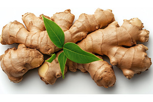 PNG Fresh ginger root with green, a Food & Drink Photo by Sergey Kotenev