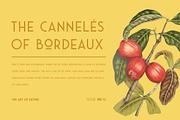 Saveur Sans, a Sans Serif Font by Arkitype (Thumbnail 4 of 15)