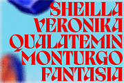 Birvase Display Font, a Serif Font by Bagerich Type Foundry (Thumbnail 6 of 12)
