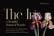 Rulinsa Modern Serif Typeface, a Serif Font by Alfinart (Thumbnail 7 of 10)