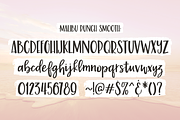 Malibu Punch, a flirty brush font, a Script Font by Rachel White Art (Thumbnail 3 of 15)