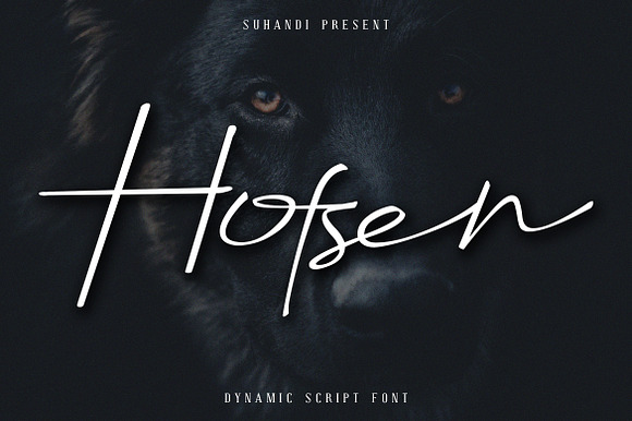 Hofsen Brava Script preview 6
