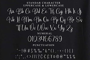 Natural Script, a Handwritten Font by FreshTypeINK (Thumbnail 7 of 8)