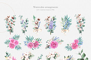Cotton Botany Watercolor Collection, a Decorative Illustration by Volha Studio (Thumbnail 4 of 9)