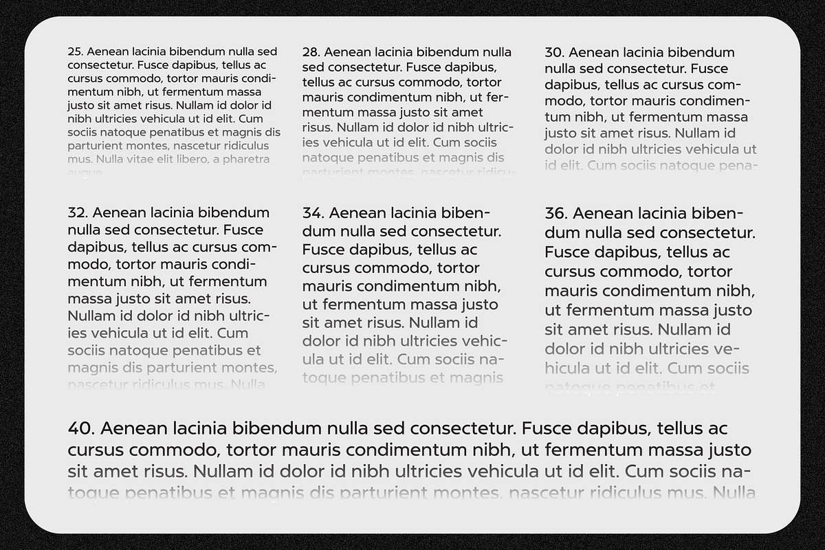 NT Marley, a Sans Serif Font by nevsky.type (Photo 13 of 14)