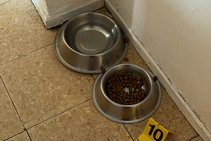 Pet food bowls with crime scene evidence marker