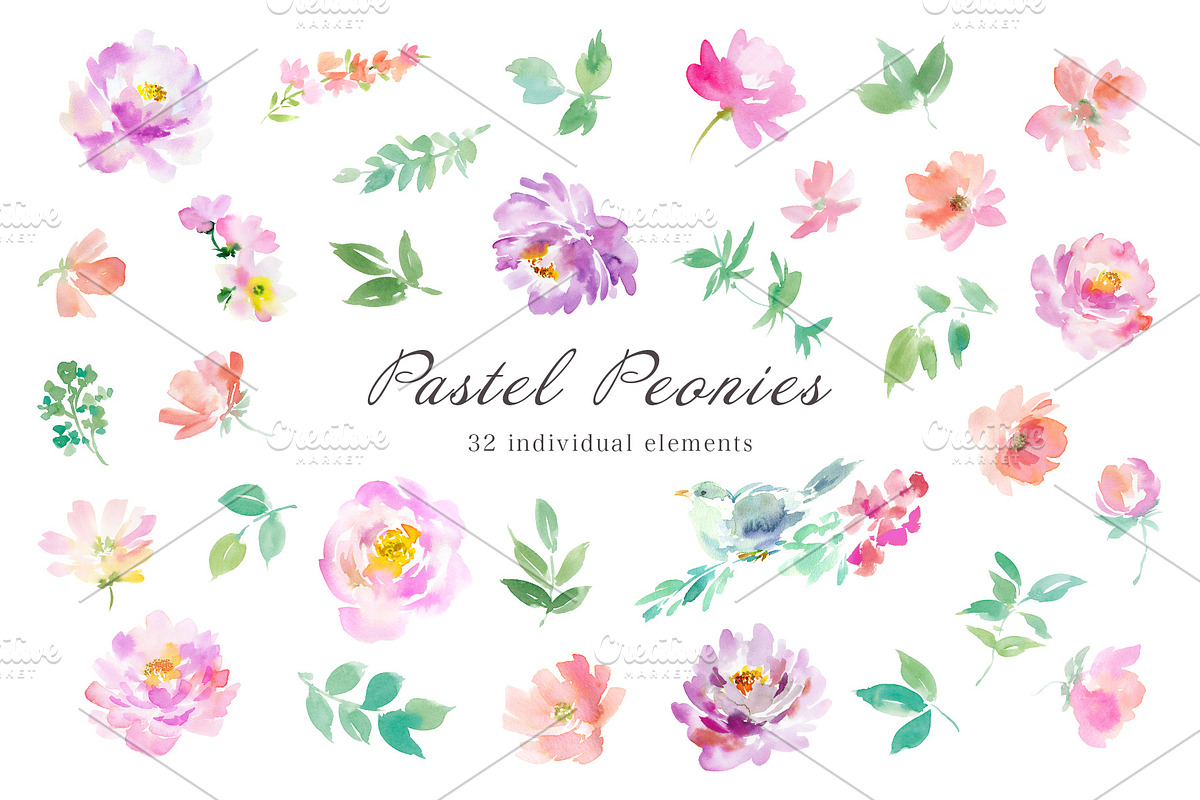 pastel peonies watercolor clipart, a Decorative Illustration by Sawango Designs (Photo 3 of 6)