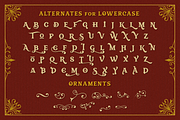 Vianor, a Font by Larin Type Co. (Thumbnail 9 of 9)